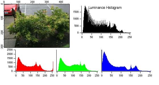 An example of an standard image together with its luminance and RGB histograms